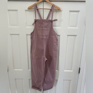 Anthropologie Pilcro overalls-never worn/no tags
